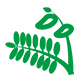 jscx5